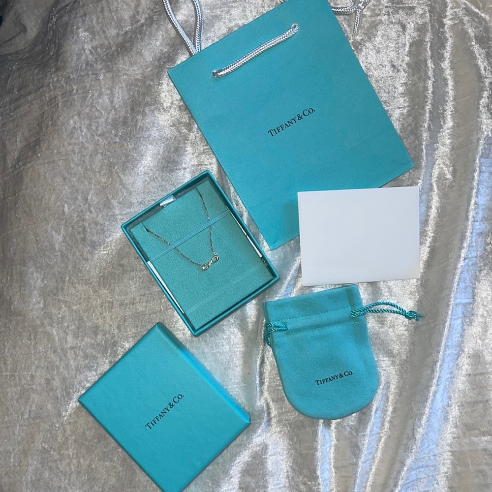 Brand new, never worn Tiffany & Co. Infinity Necklace